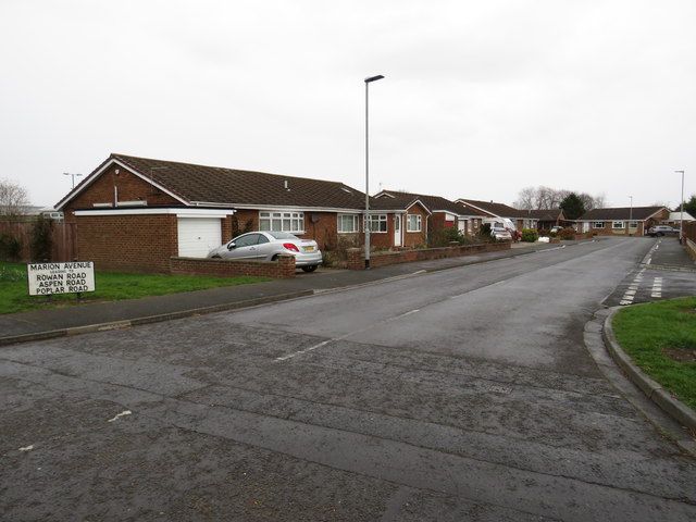 Semi-detached houses on Marion Avenue, Eaglescliffe