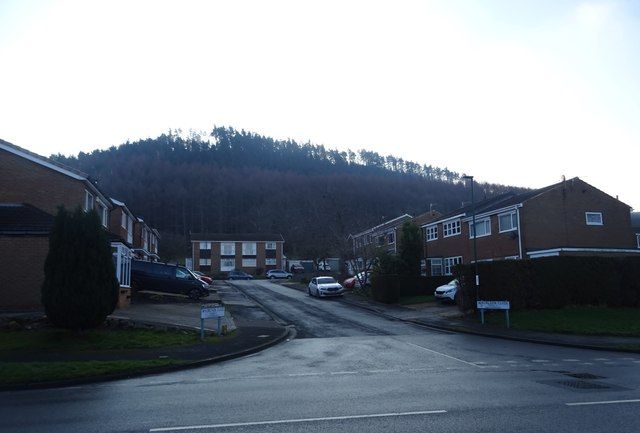 Houses and drives on Whorlton Close, Guisborough